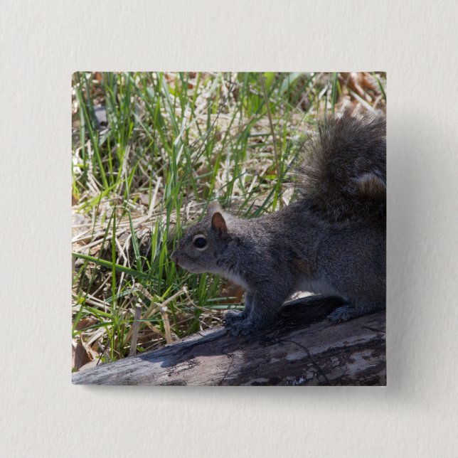 Squirrel on a Log 15 Cm Square Badge (Front)