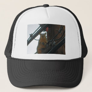 Squirrel on a Pole in Colorado Trucker Hat