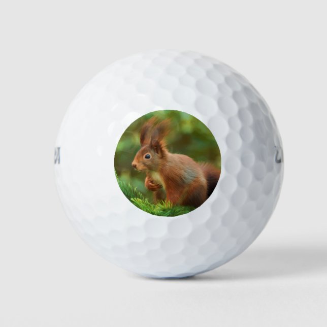 Squirrel on a tree golf balls (Front)
