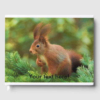 Squirrel on a tree guest book
