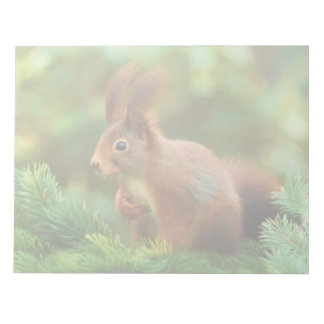 Squirrel on a tree notepad