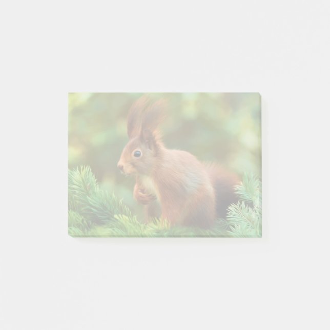 Squirrel on a tree post-it notes (Front)