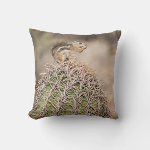 Squirrel on Barrel Cactus Cushion