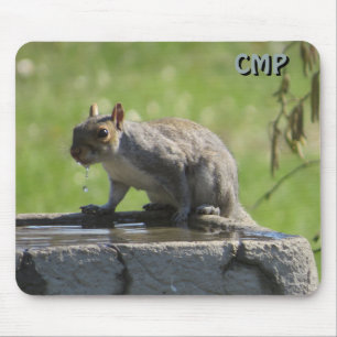 Squirrel On Bird Bath  with Your Initials  Mouse Pad