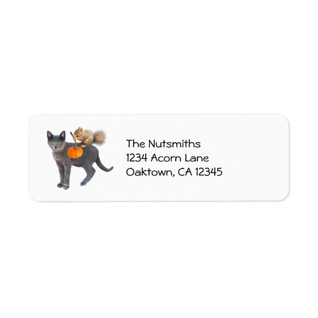 Squirrel on Cat with Pumpkin Address Labels (Front)