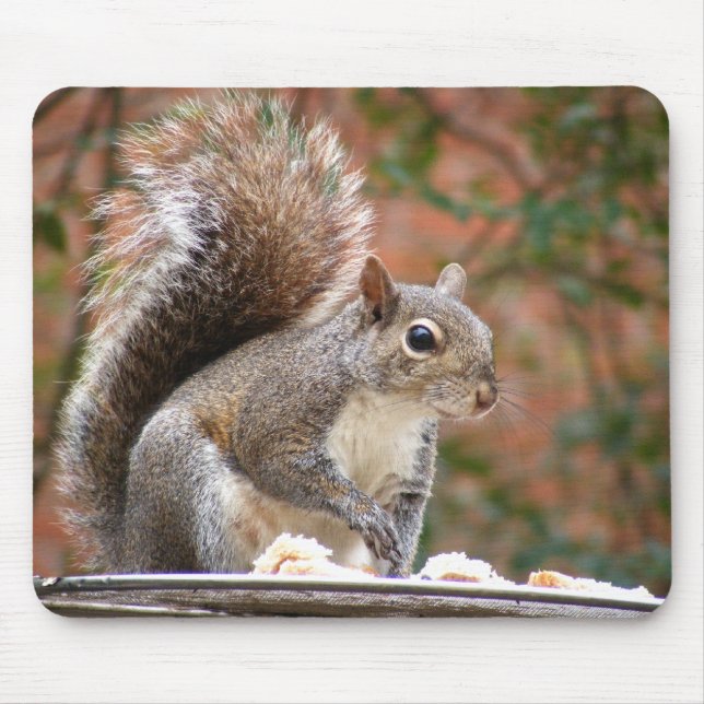 Squirrel on Feeder Mouse Pad (Front)