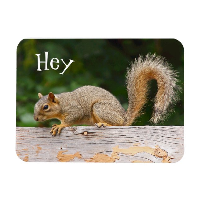 Squirrel on Fence Magnet (Horizontal)