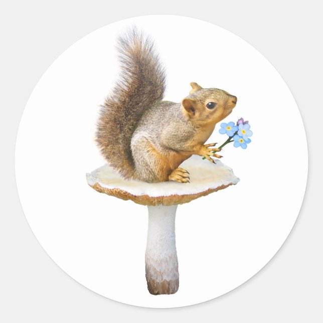 Squirrel on Mushroom with Flowers Stickers (Front)