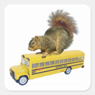 Squirrel on School Bus Square Sticker