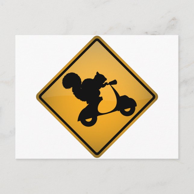 Squirrel on Scooter Postcard (Front)