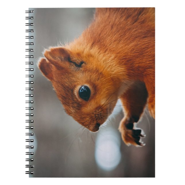 SQUIRREL ON TREE TRUNK NOTEBOOK (Front)