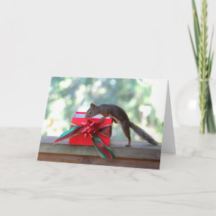 Squirrel Opening Christmas Present Holiday Card