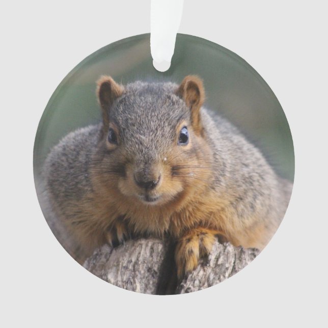 Squirrel ornament (Front)