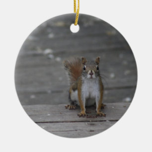 Squirrel ornament