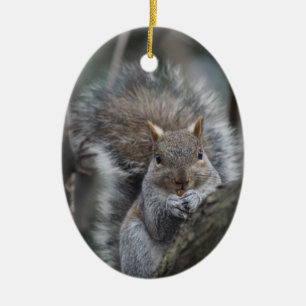 Squirrel ornament