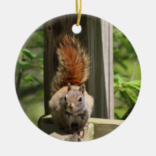 Squirrel ornament