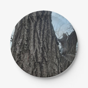 Squirrel Paper Plate
