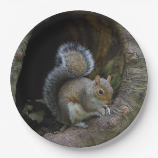 Squirrel Paper Plates