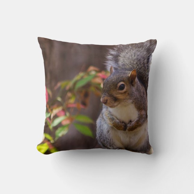 Squirrel Patiently Begs Cushion (Front)