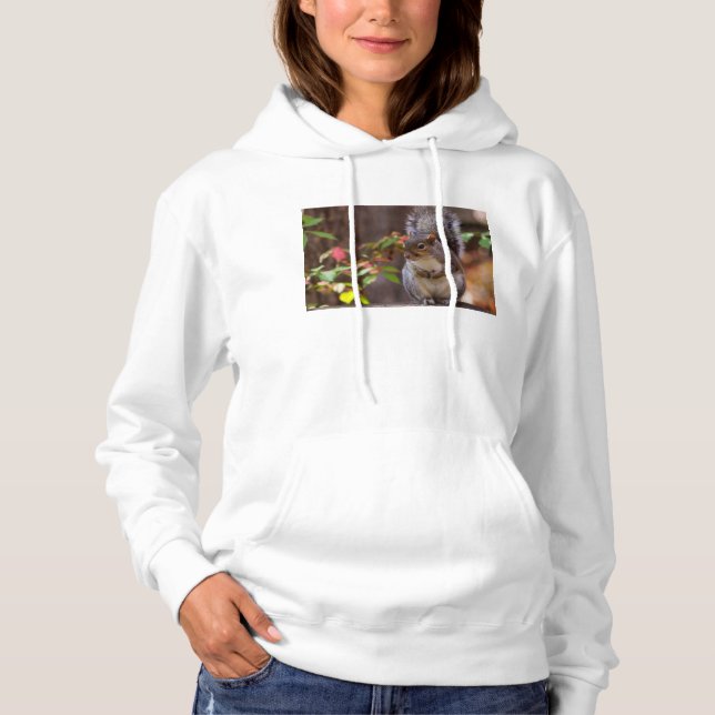 Squirrel Patiently Begs Hoodie (Front)