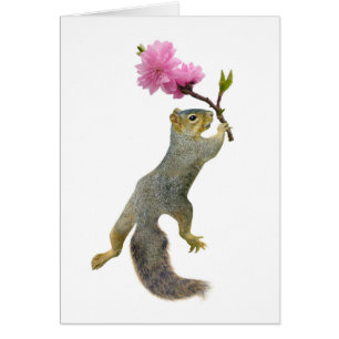 Squirrel Peach Blossom Card