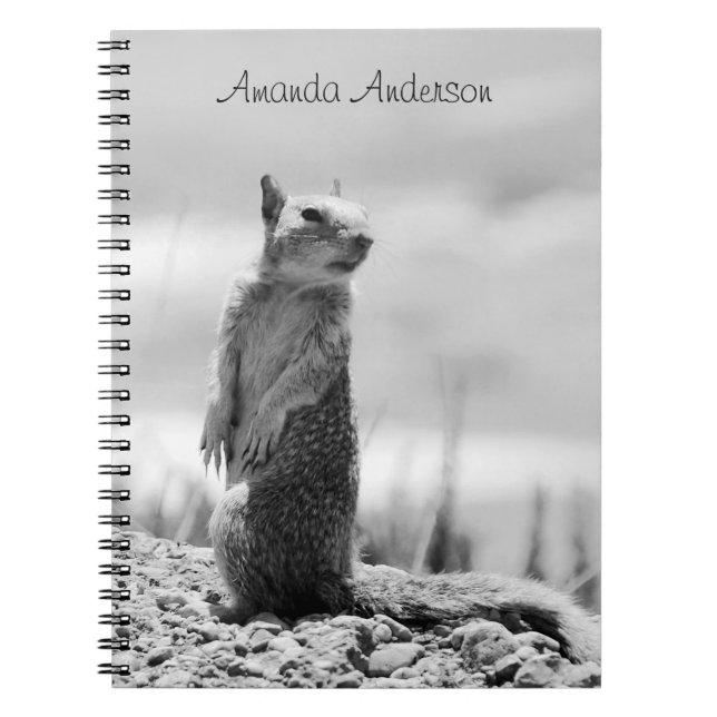 Squirrel - Personalizable Notebook (Front)
