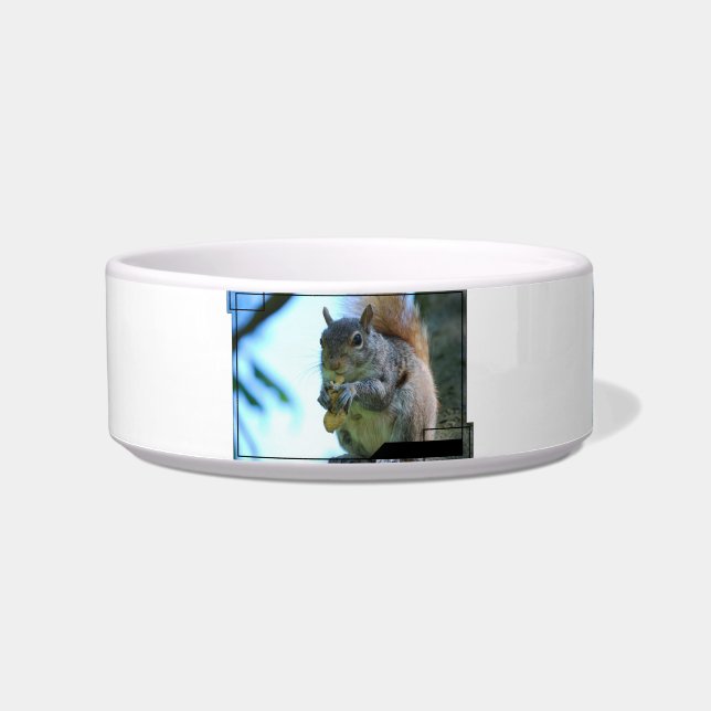 Squirrel Pet Bowl (Front)