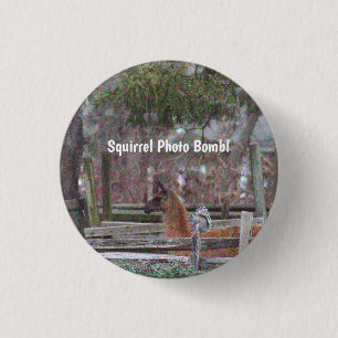Squirrel Photo Bomb Button