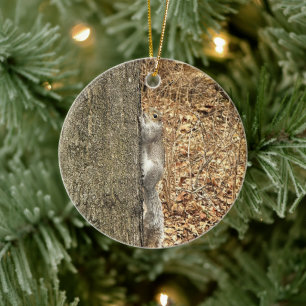 Squirrel Photo Ornament 