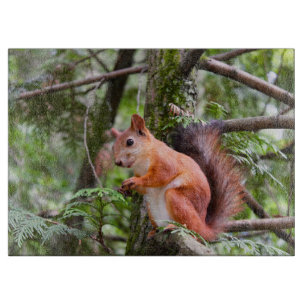 Squirrel Photograph Cutting Board