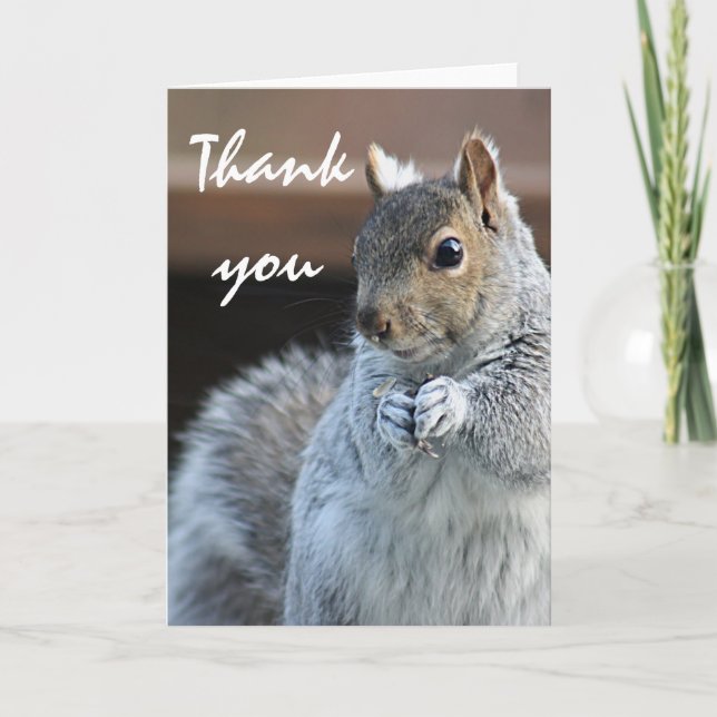 Squirrel photography thank you card (Front)
