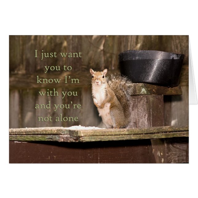Squirrel Photography You Are Not Alone Notecard (Front Horizontal)
