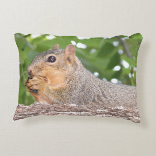Squirrel Pillow