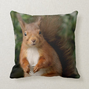 Squirrel Pillow/Cushion Cushion