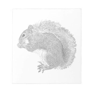 Squirrel Plain Notepad
