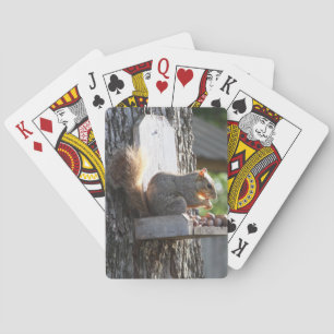 Squirrel Playing Cards