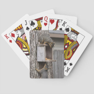 Squirrel Playing Cards