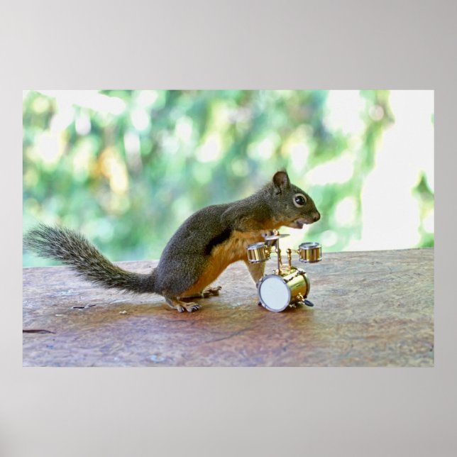 Squirrel Playing Drums Poster (Front)