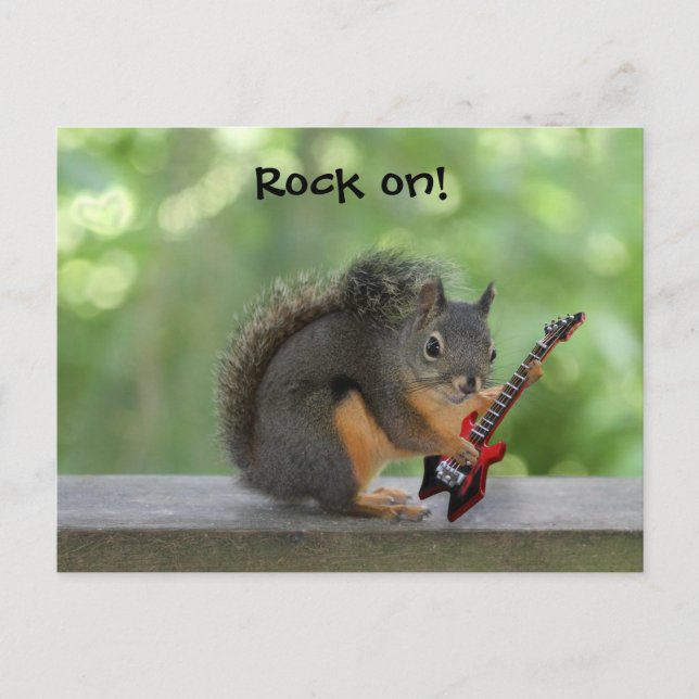 Squirrel Playing Electric Guitar Postcard (Front)