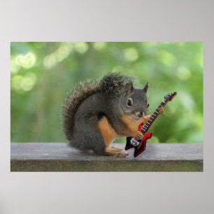 Squirrel Playing Electric Guitar Poster