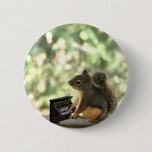 Squirrel Playing Piano 6 Cm Round Badge