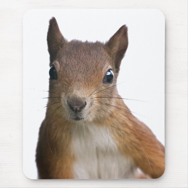 Squirrel Portrait Mousemat (Front)