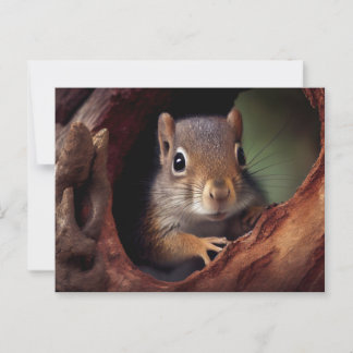 Squirrel Postcard