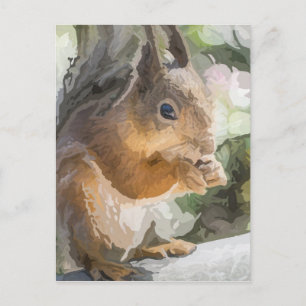 Squirrel Postcard