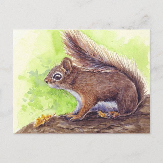 Squirrel Postcard (Front)