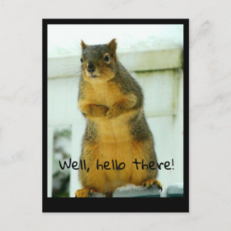 Squirrel postcard