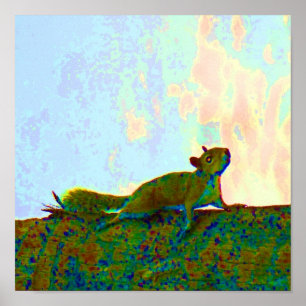 squirrel psychadelic photo poster