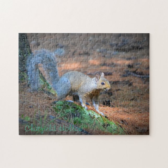 Squirrel Puzzle (Horizontal)