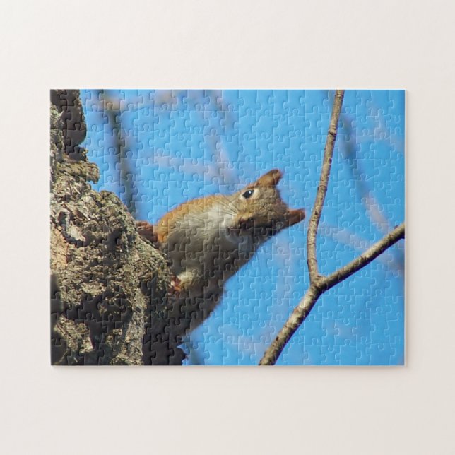 Squirrel Puzzle (Horizontal)