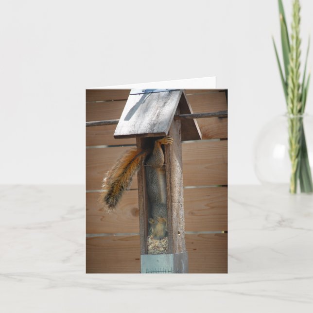 Squirrel Raiding Bird Feeder Card (Front)